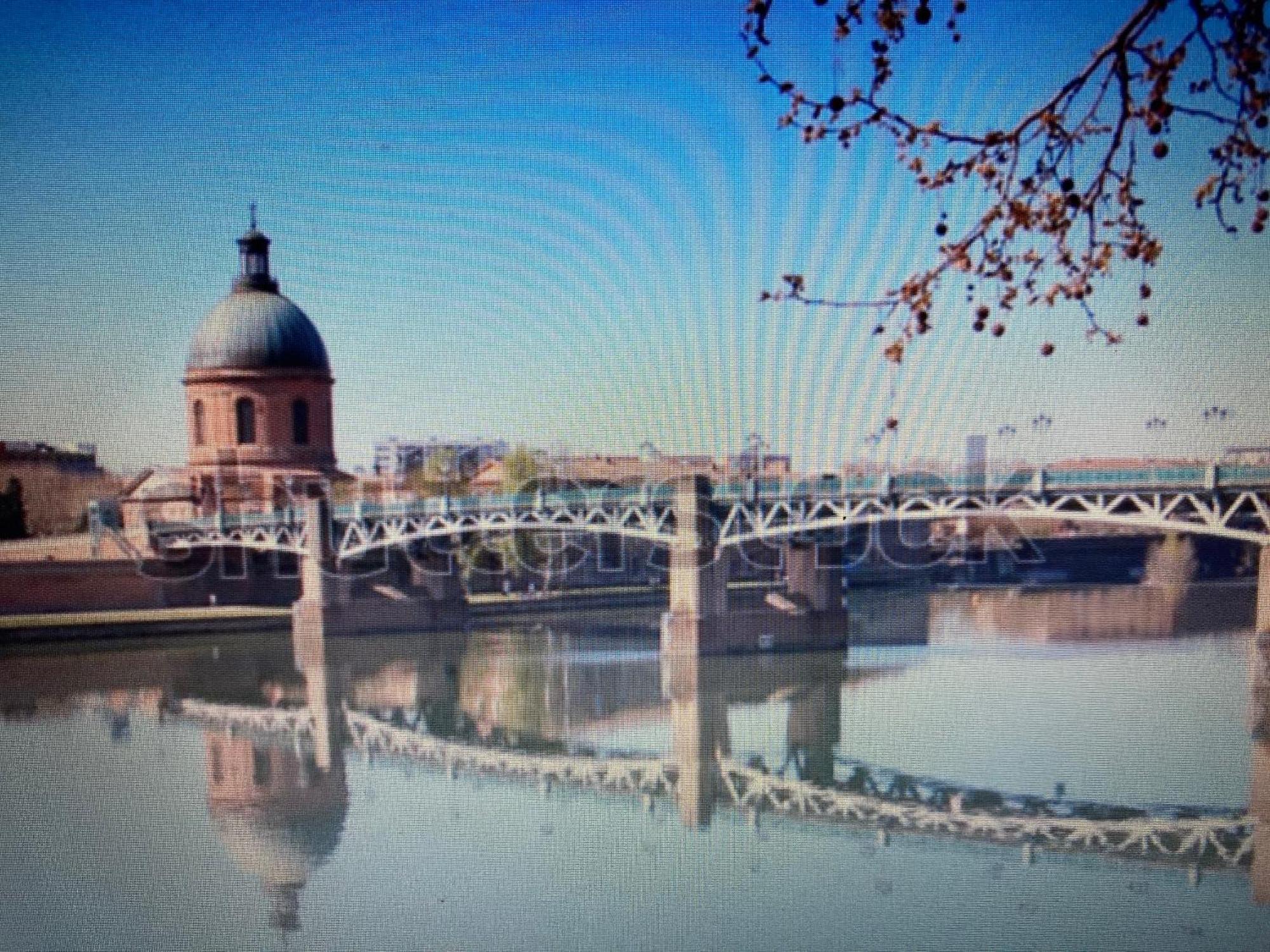 Le Saint Cyp - Toulouse - Appart Entier Cosy Et Au Calme, Proche Du Metro Exterior foto
